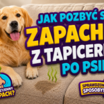 Read more about the article Jak pozbyć się zapachu z tapicerki po psie? Sprawdzone sposoby