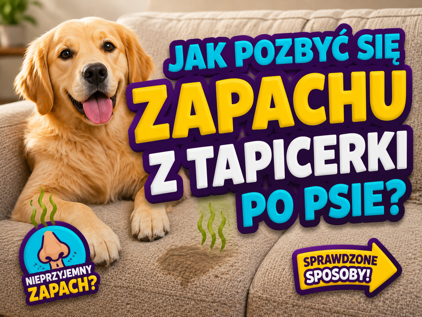 You are currently viewing Jak pozbyć się zapachu z tapicerki po psie? Sprawdzone sposoby